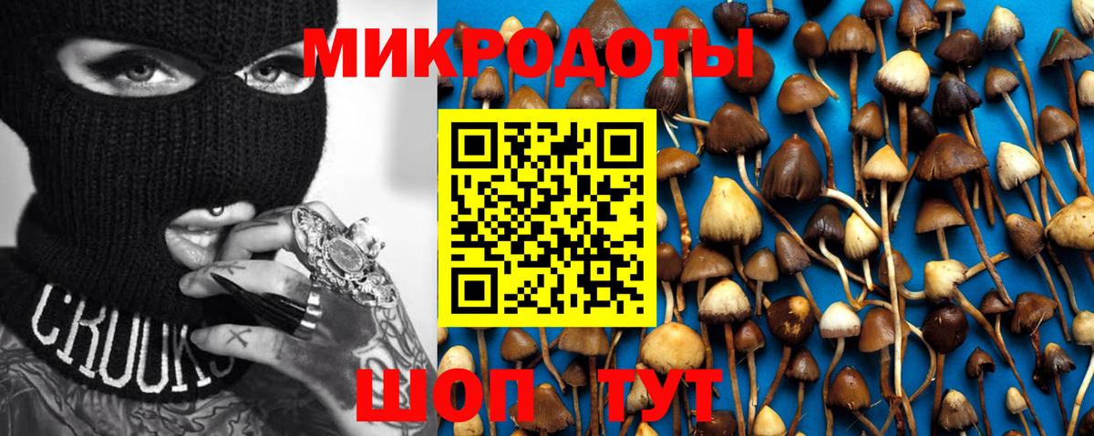 Галлюциногенные грибы MAGIC MUSHROOMS Мирный