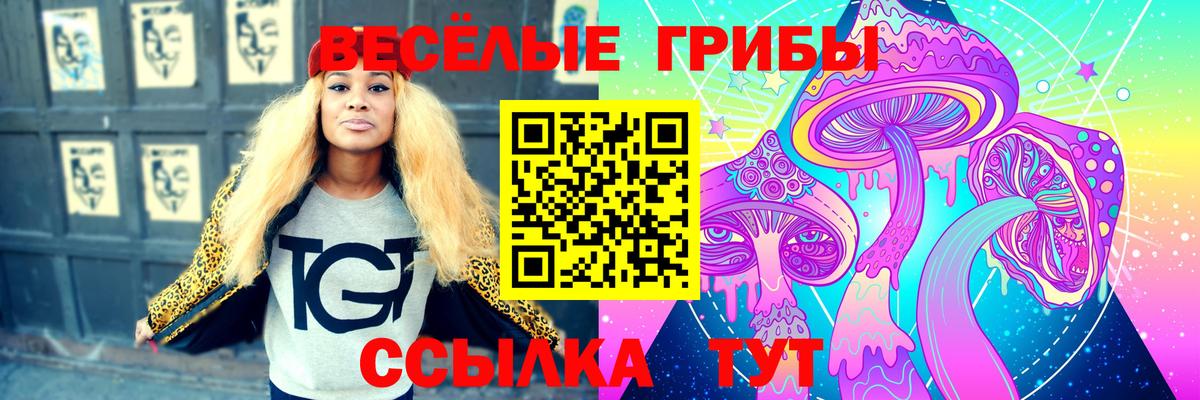 Галлюциногенные грибы Psilocybe  Вход с VPN  Мирный 